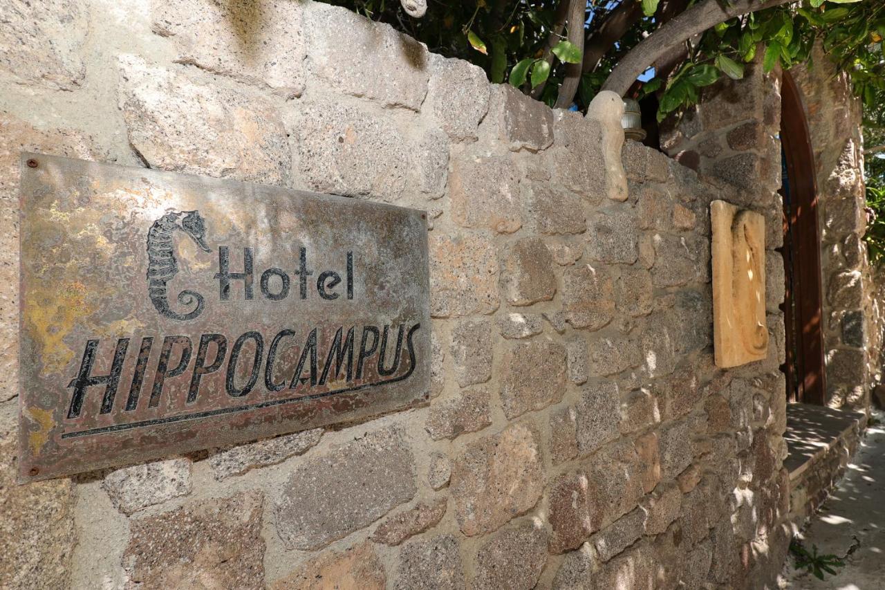 Hotel Hippocampus 派尔季卡 外观 照片